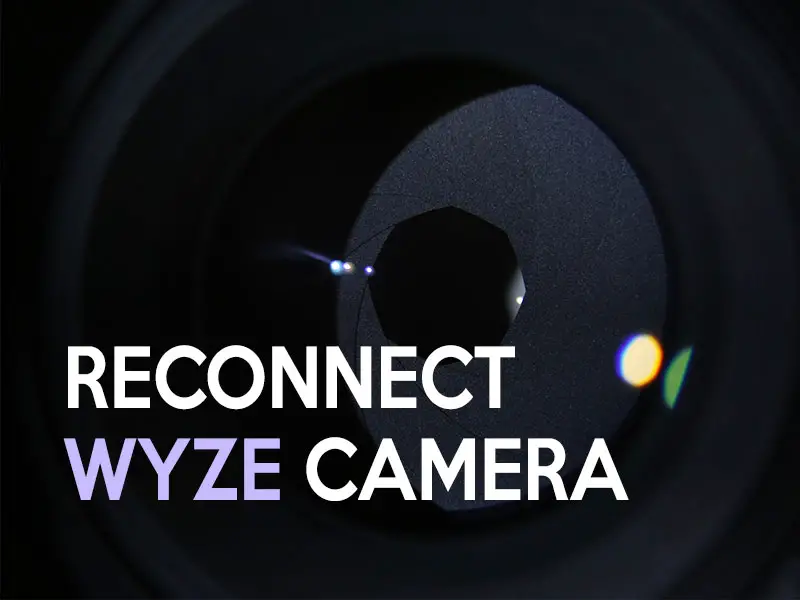 How to reconnect the WYZE camera