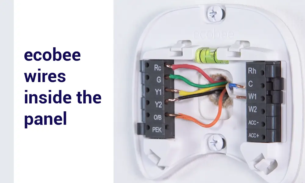 ecobee wires inside the panel