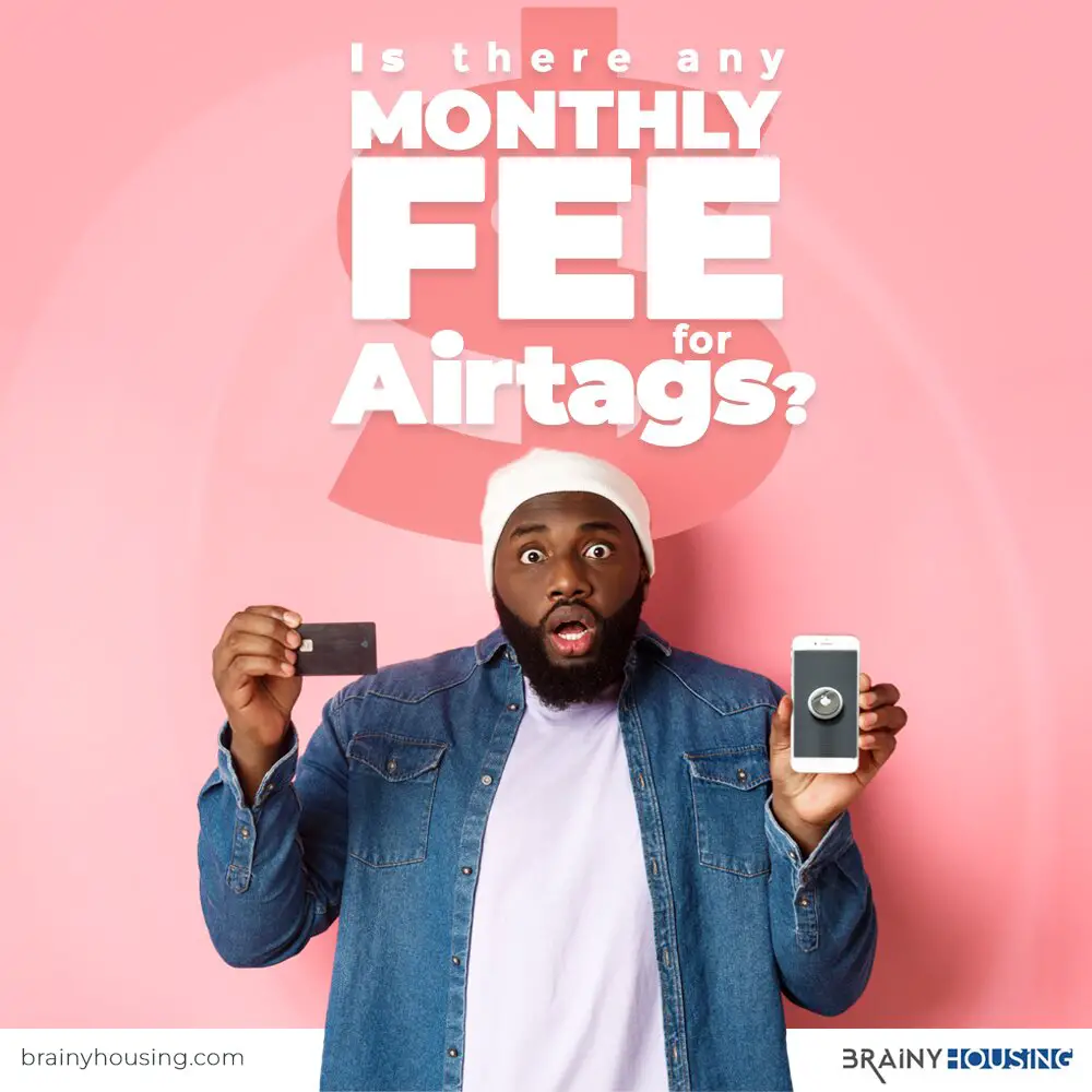 Is There Any Monthly Fee For Airtags - social media flyer