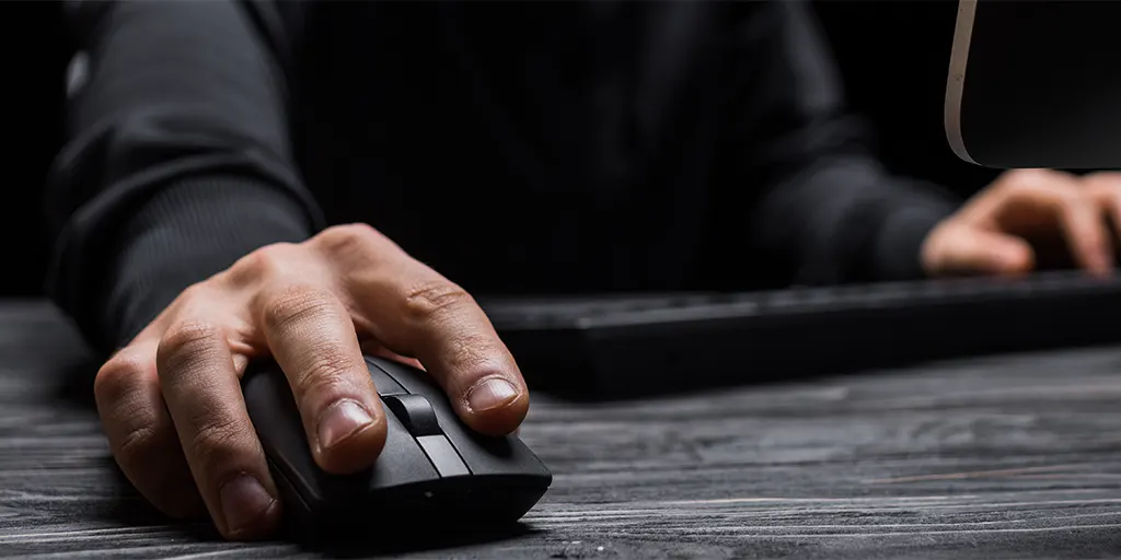A Mouse Or Keyboard Used To Control LG Television