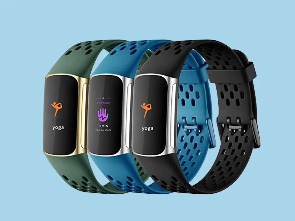 Keep A Few Bands Rather Than Two for Fitbit
